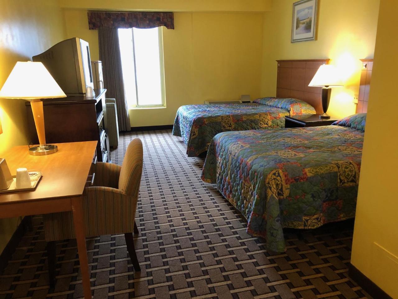 Honeyspot Motor Lodge Stratford Ngoại thất bức ảnh
